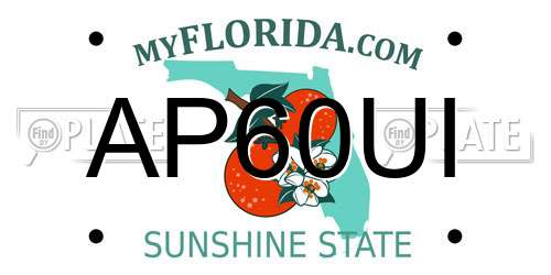 AP60UI Florida License Plate