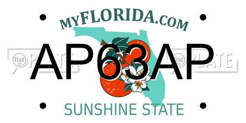 AP63AP Florida License Plate