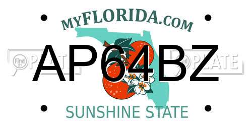 AP64BZ Florida License Plate