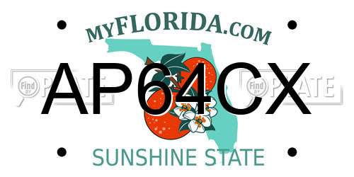 AP64CX Florida License Plate