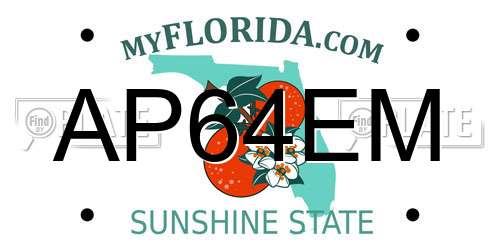 AP64EM Florida License Plate