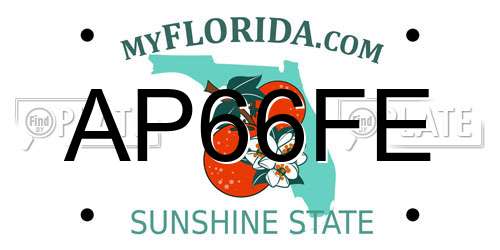 AP66FE Florida License Plate