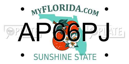 AP66PJ Florida License Plate