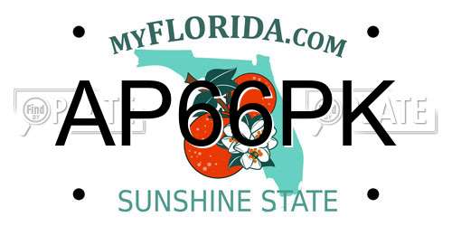 AP66PK Florida License Plate