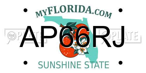 AP66RJ Florida License Plate