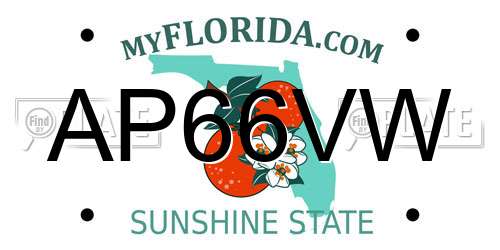 AP66VW Florida License Plate