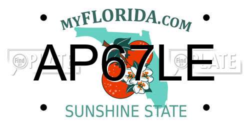 AP67LE Florida License Plate