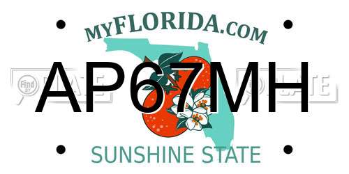 AP67MH Florida License Plate