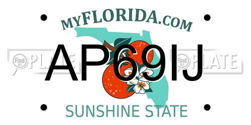AP69IJ Florida License Plate