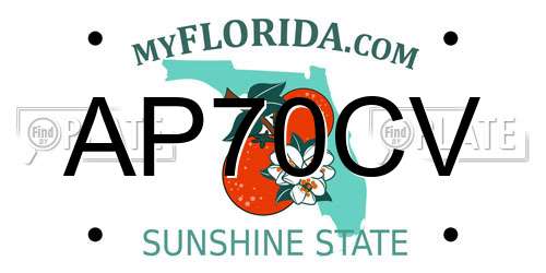 AP70CV Florida License Plate