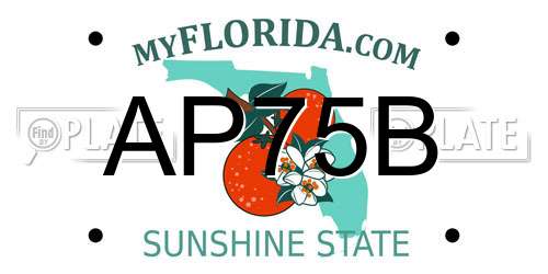 AP75B Florida License Plate