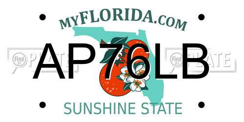AP76LB Florida License Plate