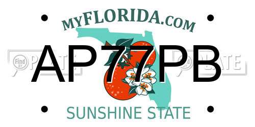 AP77PB Florida License Plate