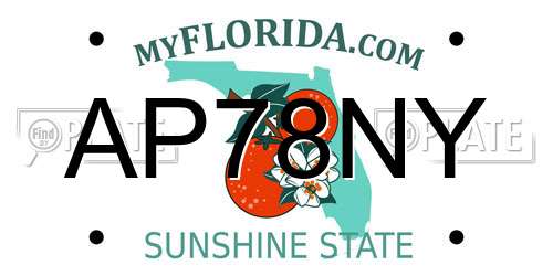 AP78NY Florida License Plate