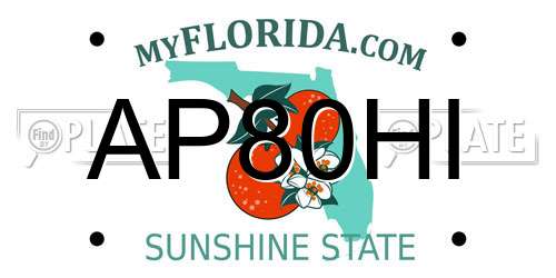 AP80HI Florida License Plate