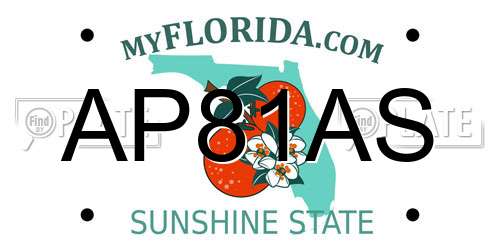 AP81AS Florida License Plate