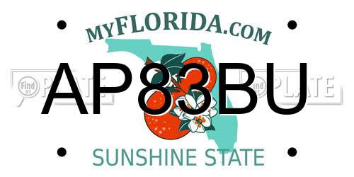 AP83BU Florida License Plate
