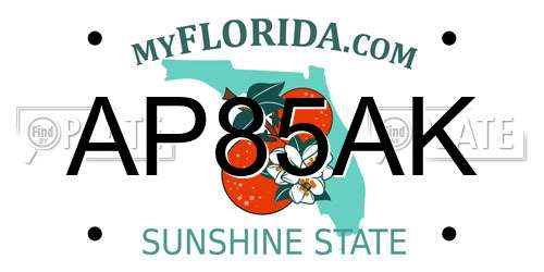 AP85AK Florida License Plate
