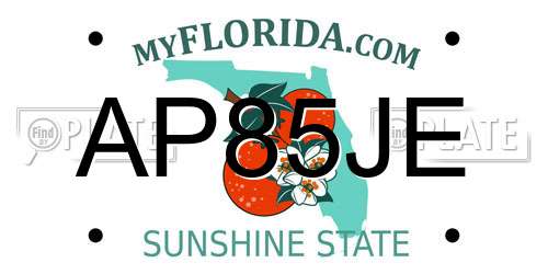 AP85JE Florida License Plate