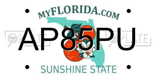 AP85PU Florida License Plate