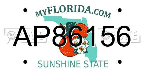 AP86156 Florida License Plate