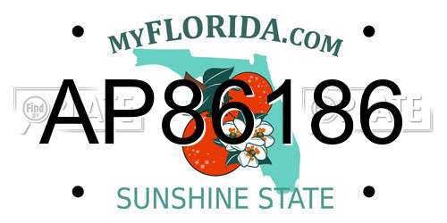 AP86186 Florida License Plate
