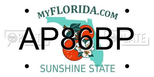 AP86BP Florida License Plate