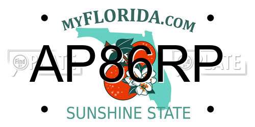 AP86RP Florida License Plate