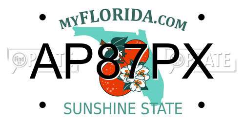 AP87PX Florida License Plate