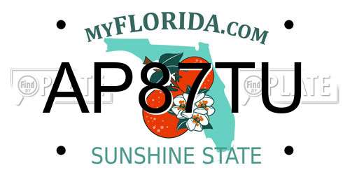AP87TU Florida License Plate