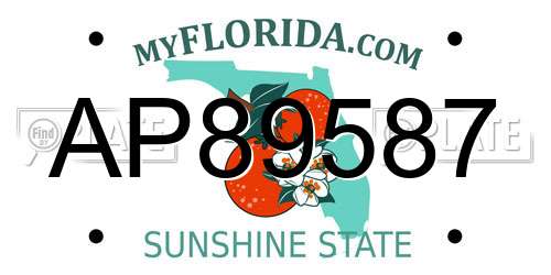AP89587 Florida License Plate
