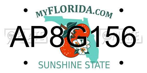 AP8G156 Florida License Plate