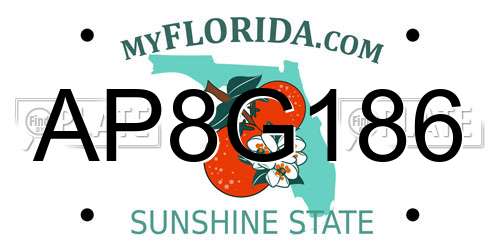 AP8G186 Florida License Plate