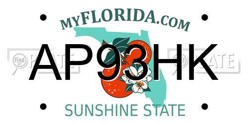 AP93HK Florida License Plate