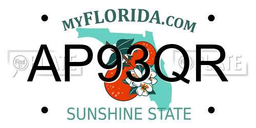 AP93QR Florida License Plate