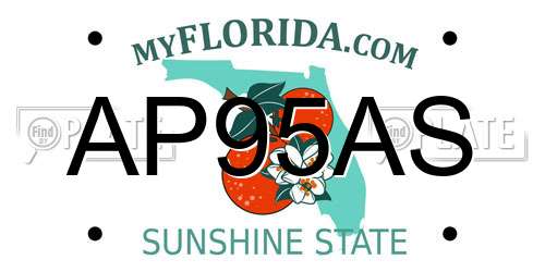 AP95AS Florida License Plate