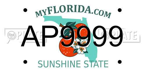 AP9999 Florida License Plate