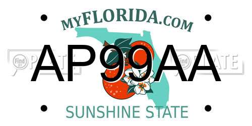 AP99AA Florida License Plate