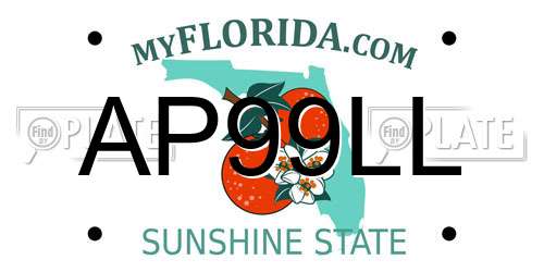 AP99LL Florida License Plate