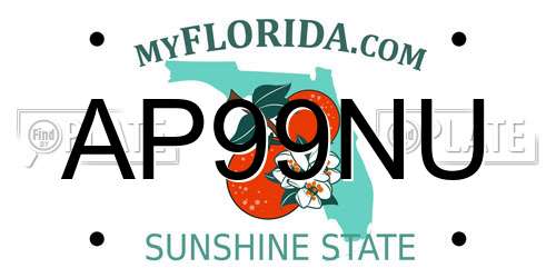 AP99NU Florida License Plate