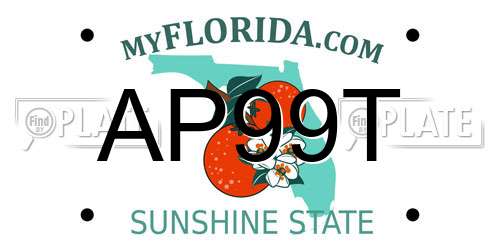 AP99T Florida License Plate