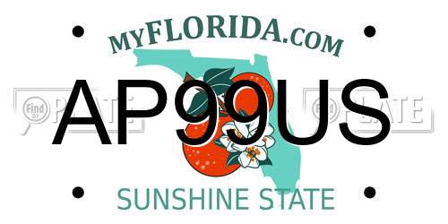 AP99US Florida License Plate