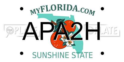 APA2H Florida License Plate