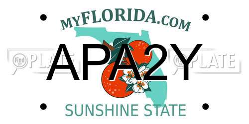 APA2Y Florida License Plate