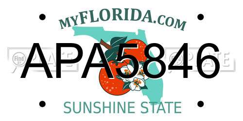 APA5846 Florida License Plate