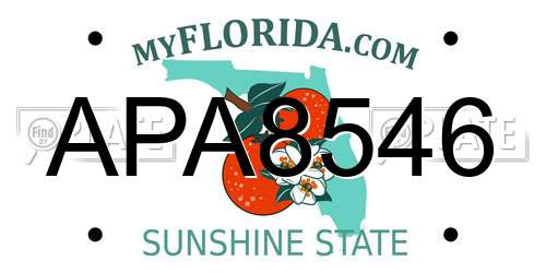 APA8546 Florida License Plate