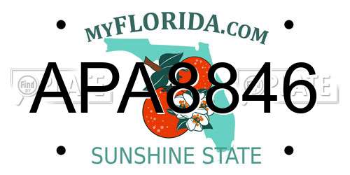 APA8846 Florida License Plate