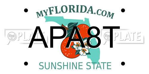 APA8T Florida License Plate