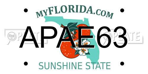 APAE63 Florida License Plate