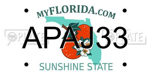APAJ33 Florida License Plate